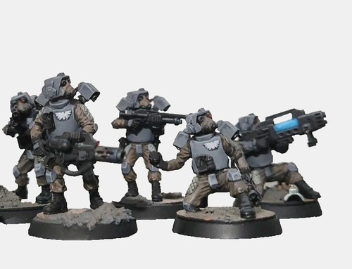Pro painted 40k astra - pro,