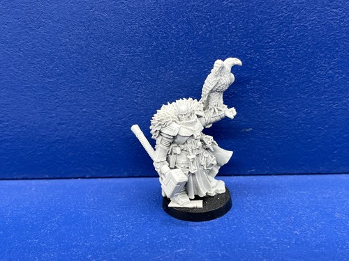 Rar inquisitor coteaz - coteaz, der