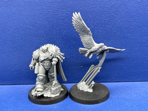 Inquisitor coteaz der - coteaz,